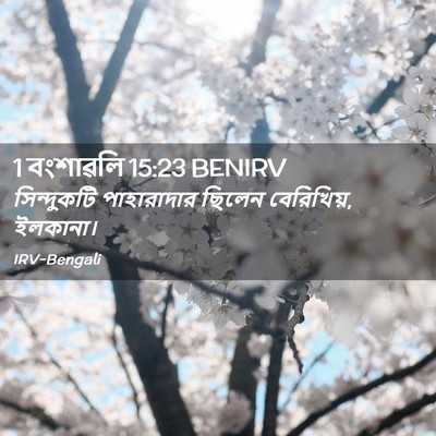 Picture 02 - 1 বংশাৱলি 15:23 BENIRV - সিন্দুকটি - Bible Verse Picture