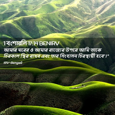 Picture 02 - 1 বংশাৱলি 17:14 BENIRV - আমার ঘরের ও আমার - Bible Verse Picture