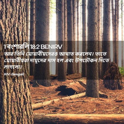 Picture 02 - 1 বংশাৱলি 18:2 BENIRV - আর তিনি - Bible Verse Picture