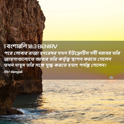 Picture 02 - 1 বংশাৱলি 18:3 BENIRV - পরে সোবার রাজা - Bible Verse Picture