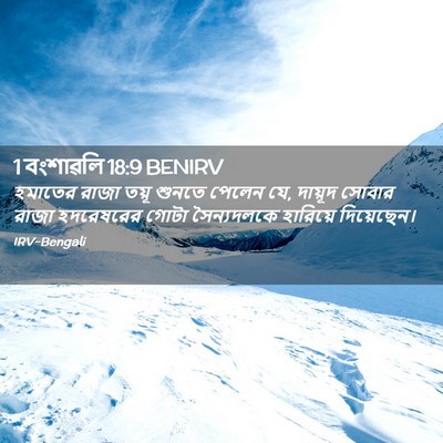 Picture 02 - 1 বংশাৱলি 18:9 BENIRV - হমাতের রাজা তয়ূ - Bible Verse Picture