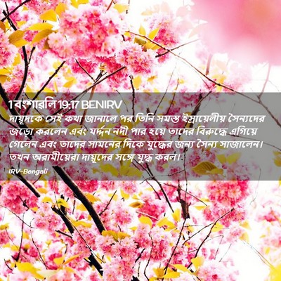 Picture 02 - 1 বংশাৱলি 19:17 BENIRV - দায়ূদকে সেই কথা - Bible Verse Picture