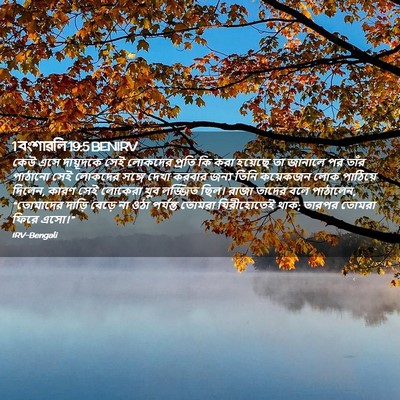 Picture 02 - 1 বংশাৱলি 19:5 BENIRV - কেউ এসে দায়ূদকে - Bible Verse Picture