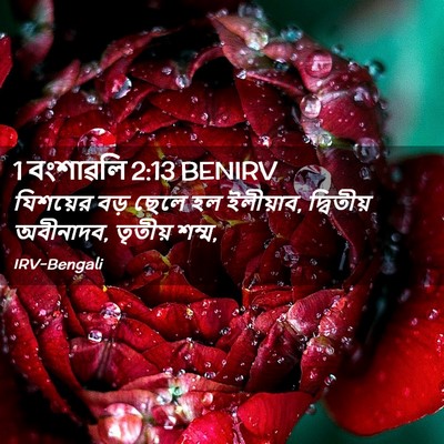 Picture 02 - 1 বংশাৱলি 2:13 BENIRV - যিশয়ের বড় ছেলে - Bible Verse Picture