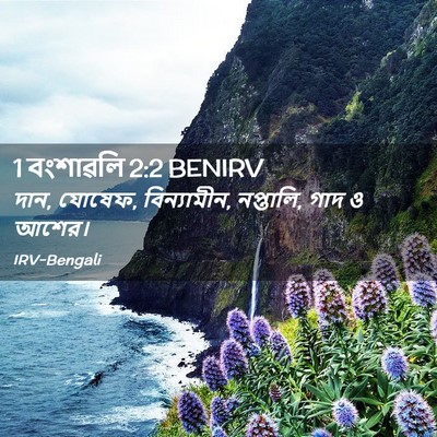 Picture 02 - 1 বংশাৱলি 2:2 BENIRV - দান, যোষেফ, - Bible Verse Picture