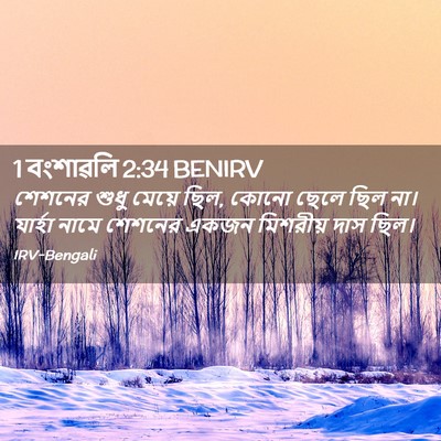Picture 02 - 1 বংশাৱলি 2:34 BENIRV - শেশনের শুধু মেয়ে - Bible Verse Picture