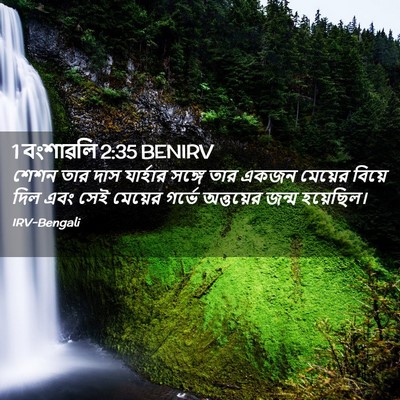 Picture 02 - 1 বংশাৱলি 2:35 BENIRV - শেশন তার দাস - Bible Verse Picture