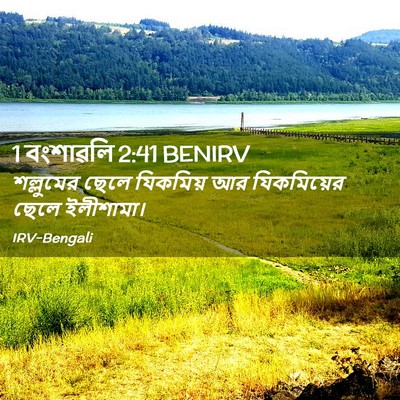 Picture 02 - 1 বংশাৱলি 2:41 BENIRV - শল্লুমের ছেলে - Bible Verse Picture