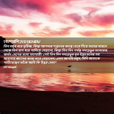 Picture 02 - 1 বংশাৱলি 21:12 BENIRV - তিন বছর ধরে - Bible Verse Picture