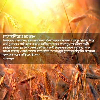 Picture 02 - 1 বংশাৱলি 21:15 BENIRV - যিরূশালেম শহর - Bible Verse Picture