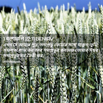 Picture 02 - 1 বংশাৱলি 22:11 BENIRV - এখন হে আমার পুত্র, - Bible Verse Picture