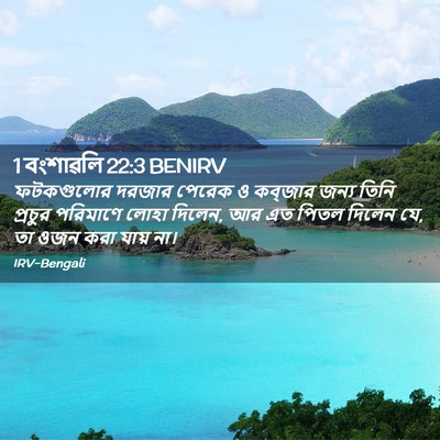 Picture 02 - 1 বংশাৱলি 22:3 BENIRV - ফটকগুলোর দরজার - Bible Verse Picture