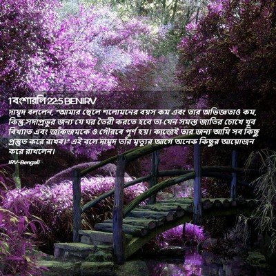 Picture 02 - 1 বংশাৱলি 22:5 BENIRV - দায়ূদ বললেন, - Bible Verse Picture