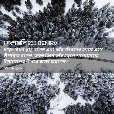 Picture 02 - 1 বংশাৱলি 23:1 BENIRV - দায়ূদ যখন বৃদ্ধ - Bible Verse Picture