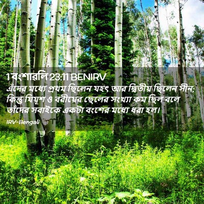 Picture 02 - 1 বংশাৱলি 23:11 BENIRV - এঁদের মধ্যে প্রথম - Bible Verse Picture
