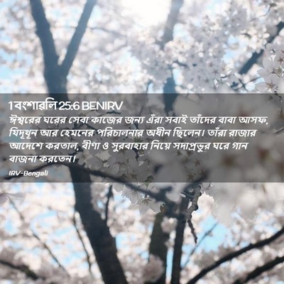 Picture 02 - 1 বংশাৱলি 25:6 BENIRV - ঈশ্বরের ঘরের সেবা - Bible Verse Picture