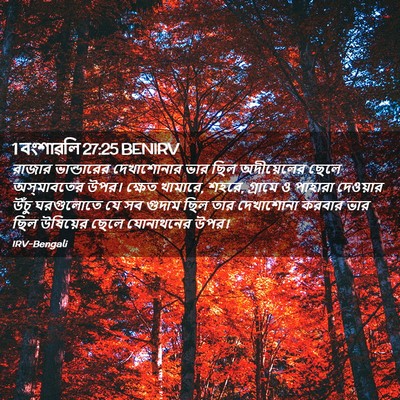 Picture 02 - 1 বংশাৱলি 27:25 BENIRV - রাজার ভান্ডারের - Bible Verse Picture