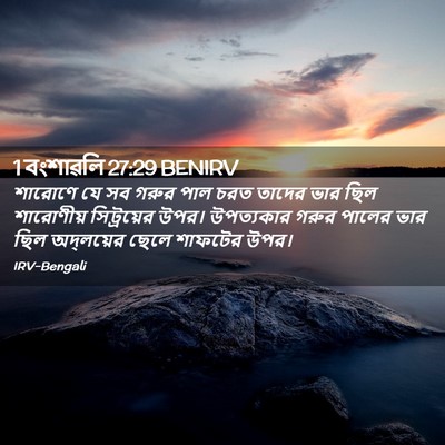 Picture 02 - 1 বংশাৱলি 27:29 BENIRV - শারোণে যে সব গরুর - Bible Verse Picture
