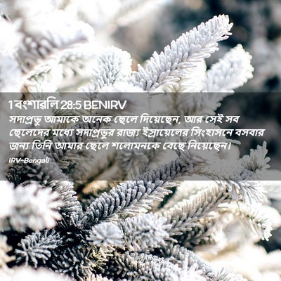 Picture 02 - 1 বংশাৱলি 28:5 BENIRV - সদাপ্রভু আমাকে - Bible Verse Picture