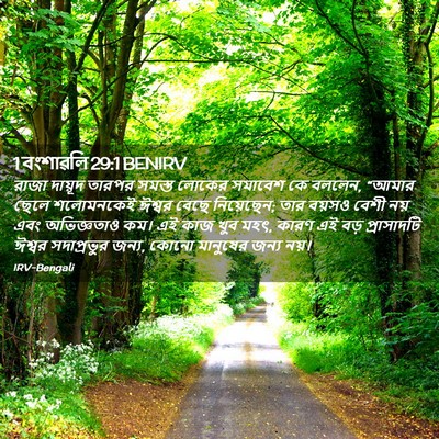 Picture 02 - 1 বংশাৱলি 29:1 BENIRV - রাজা দায়ূদ তারপর - Bible Verse Picture