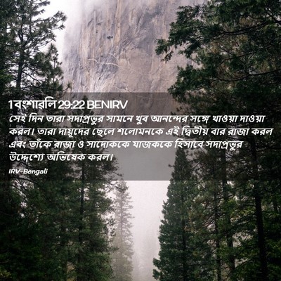 Picture 02 - 1 বংশাৱলি 29:22 BENIRV - সেই দিন তারা - Bible Verse Picture