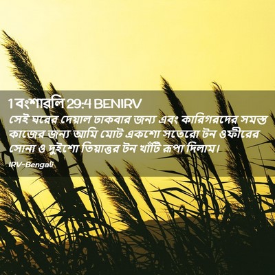 Picture 02 - 1 বংশাৱলি 29:4 BENIRV - সেই ঘরের দেয়াল - Bible Verse Picture