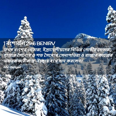 Picture 02 - 1 বংশাৱলি 29:6 BENIRV - তখন বংশের নেতারা, - Bible Verse Picture
