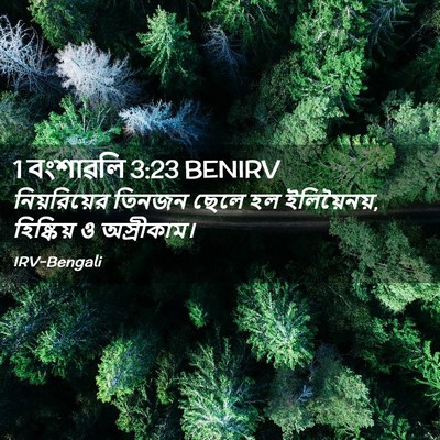 Picture 02 - 1 বংশাৱলি 3:23 BENIRV - নিয়রিয়ের তিনজন - Bible Verse Picture