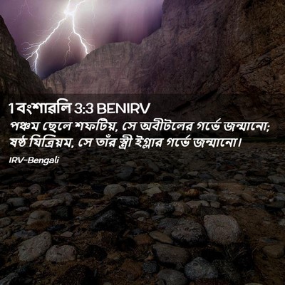 Picture 02 - 1 বংশাৱলি 3:3 BENIRV - পঞ্চম ছেলে শফটিয়, - Bible Verse Picture