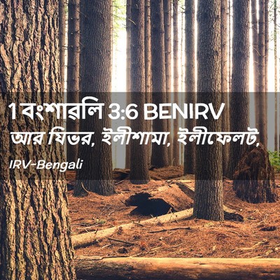 Picture 02 - 1 বংশাৱলি 3:6 BENIRV - আর যিভর, ইলীশামা, - Bible Verse Picture
