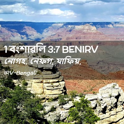 Picture 02 - 1 বংশাৱলি 3:7 BENIRV - নোগহ, নেফগ, - Bible Verse Picture