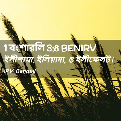 Picture 02 - 1 বংশাৱলি 3:8 BENIRV - ইলীশামা, ইলিয়াদা, - Bible Verse Picture