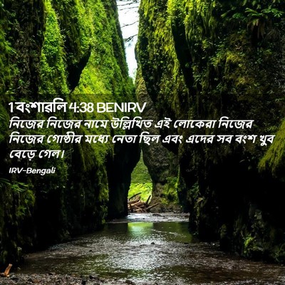 Picture 02 - 1 বংশাৱলি 4:38 BENIRV - নিজের নিজের নামে - Bible Verse Picture