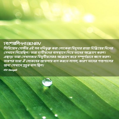 Picture 02 - 1 বংশাৱলি 4:41 BENIRV - শিমিয়োন গোষ্ঠীর - Bible Verse Picture