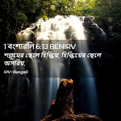 Picture 02 - 1 বংশাৱলি 6:13 BENIRV - শল্লুমের ছেলে - Bible Verse Picture