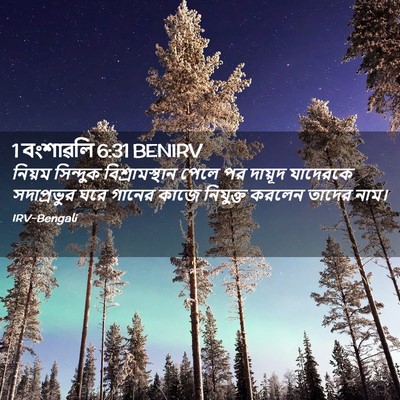 Picture 02 - 1 বংশাৱলি 6:31 BENIRV - নিয়ম সিন্দুক - Bible Verse Picture