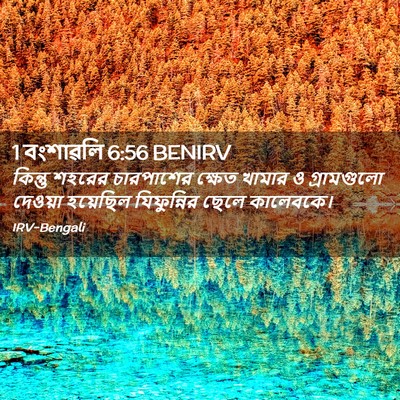 Picture 02 - 1 বংশাৱলি 6:56 BENIRV - কিন্তু শহরের - Bible Verse Picture