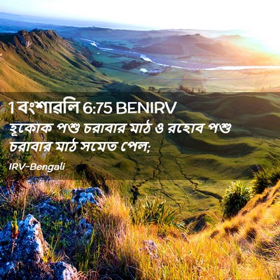 Picture 02 - 1 বংশাৱলি 6:75 BENIRV - হূকোক পশু চরাবার - Bible Verse Picture