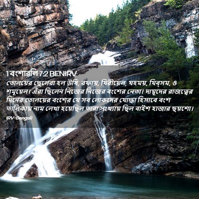 Picture 02 - 1 বংশাৱলি 7:2 BENIRV - তোলয়ের ছেলেরা হল - Bible Verse Picture