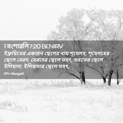 Picture 02 - 1 বংশাৱলি 7:20 BENIRV - ইফ্রয়িমের একজন - Bible Verse Picture