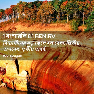 Picture 02 - 1 বংশাৱলি 8:1 BENIRV - বিন্যামীনের বড় - Bible Verse Picture