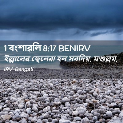 Picture 02 - 1 বংশাৱলি 8:17 BENIRV - ইল্পালের ছেলেরা - Bible Verse Picture