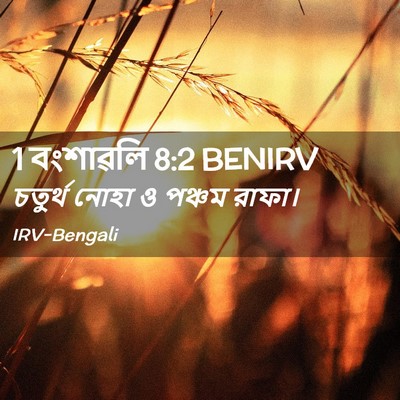 Picture 02 - 1 বংশাৱলি 8:2 BENIRV - চতুর্থ নোহা ও - Bible Verse Picture
