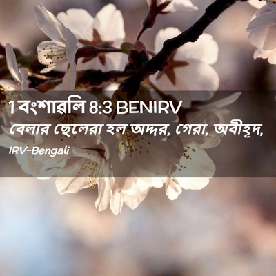 Picture 02 - 1 বংশাৱলি 8:3 BENIRV - বেলার ছেলেরা হল - Bible Verse Picture
