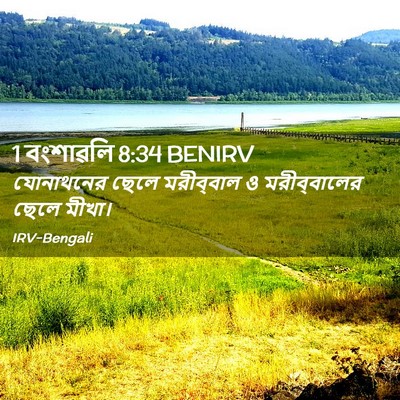 Picture 02 - 1 বংশাৱলি 8:34 BENIRV - যোনাথনের ছেলে - Bible Verse Picture