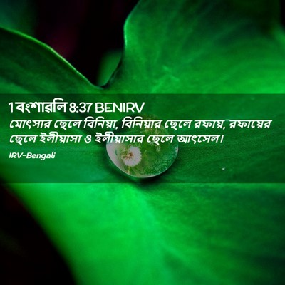 Picture 02 - 1 বংশাৱলি 8:37 BENIRV - মোৎসার ছেলে - Bible Verse Picture