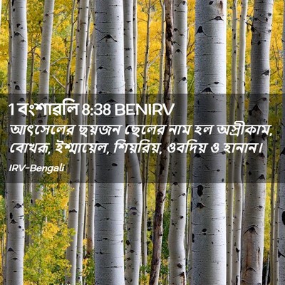 Picture 02 - 1 বংশাৱলি 8:38 BENIRV - আৎসেলের ছয়জন - Bible Verse Picture