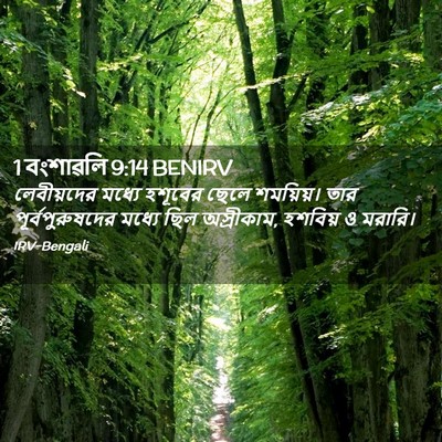 Picture 02 - 1 বংশাৱলি 9:14 BENIRV - লেবীয়দের মধ্যে - Bible Verse Picture