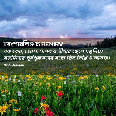 Picture 02 - 1 বংশাৱলি 9:15 BENIRV - বকবকর, হেরশ, গালল ও - Bible Verse Picture