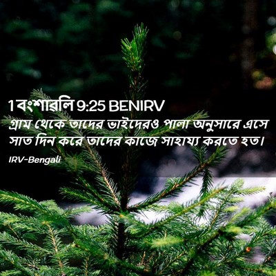 Picture 02 - 1 বংশাৱলি 9:25 BENIRV - গ্রাম থেকে তাদের - Bible Verse Picture